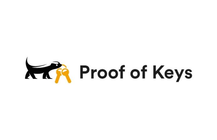 Proof of Keys’e Karşı Yatırımcılar Ne Yapmalı